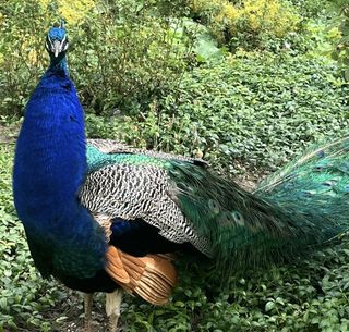 Titelbild der Nachricht